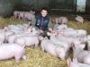 La Ferme de Max