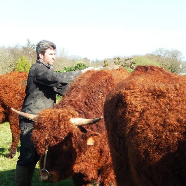 La Ferme de Mik
