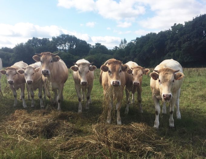 De belles blondes... ;)