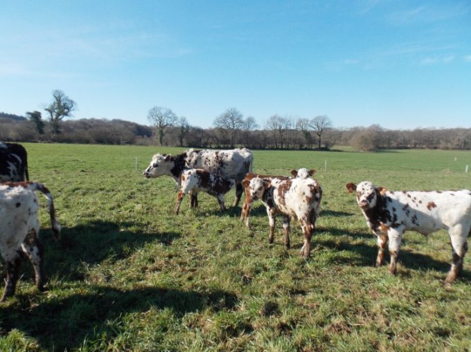 La Ferme de Saint Maudez