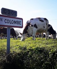 La Ferme du Colombier
