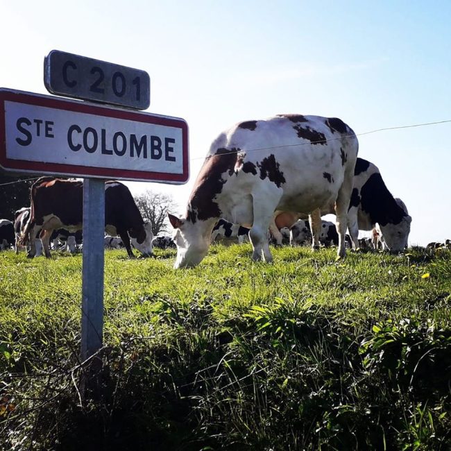 La Ferme du Colombier