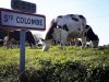La Ferme du Colombier