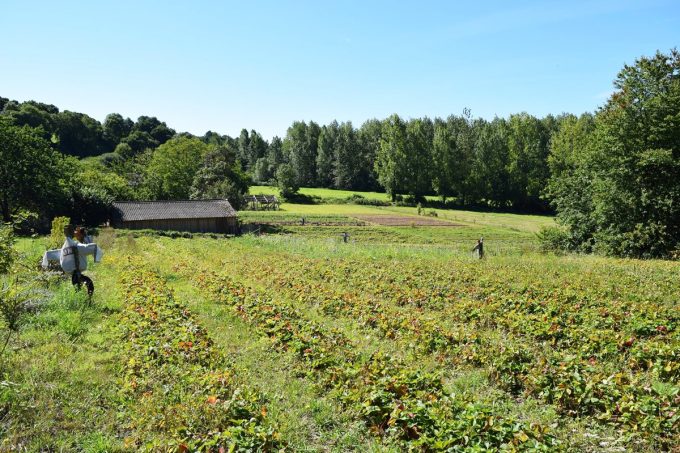 Une vie de la ferme