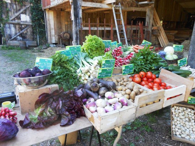 Les paniers de fruits et légumes