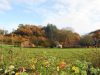 Vue de la ferme