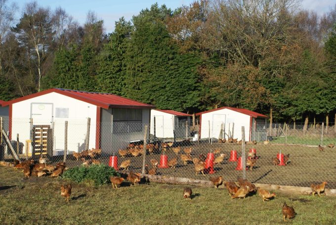 A la Ferme du Rocher