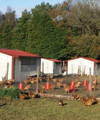 A la Ferme du Rocher