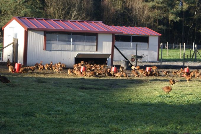 Cabane