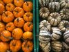 La Ferme des Ecrannes - courges