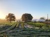 La Ferme des Ecrannes - à l'aube