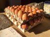 La Ferme des Ecrannes - oeufs bio
