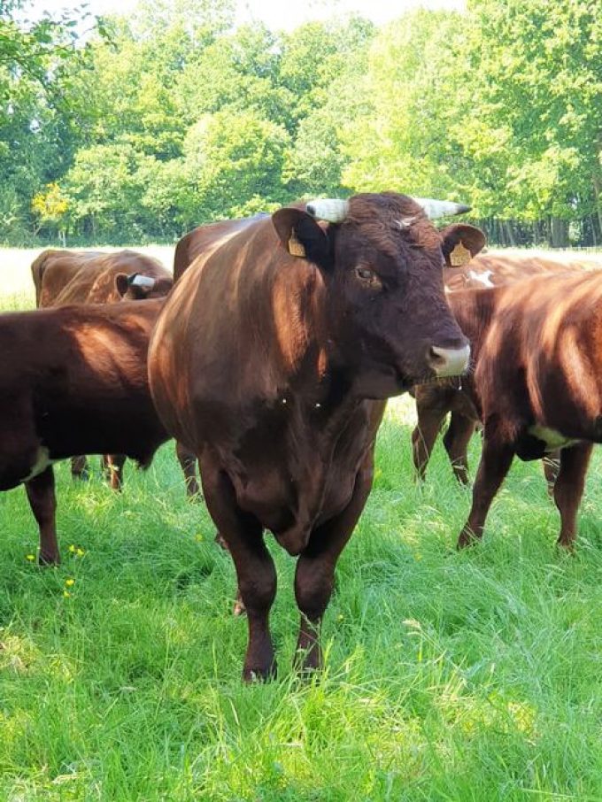 Ferme du Gabbro