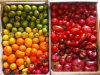 La Ferme Kabocha - tomates multicolores
