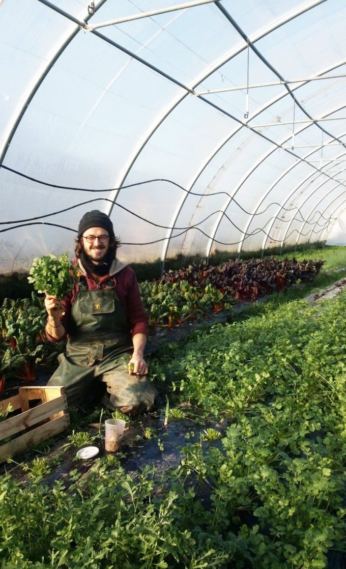 La Ferme Kabocha - culture sous serre