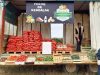 Ferme de Kerdalar - vente directe