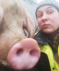 La Ferme de Kerdossen