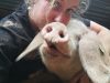 La Ferme de Kerdossen - respect animal