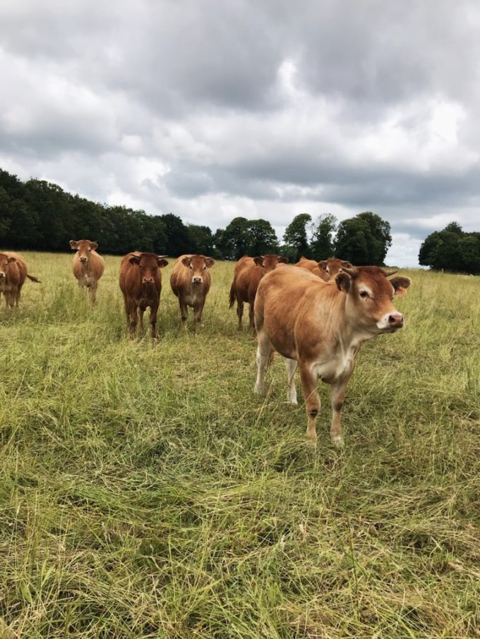 Ferme de Kermoal