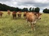 Ferme de Kermoal