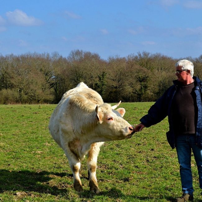 La Ferme de Kerolivier