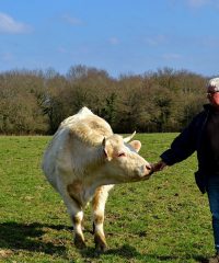 La Ferme de Kerolivier