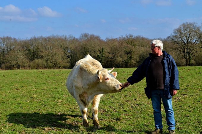 La Ferme de Kerolivier