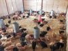 La Ferme de Kervern - volailles bio