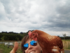 La belle poulette et Kristel