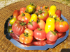 Tomates et tomates cerises
