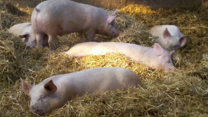 Ferme de la Moinerie