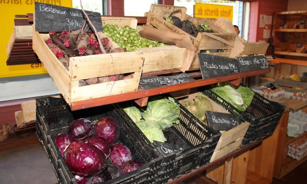 La Ferme de Locmaria : Magasin en direct des producteurs !