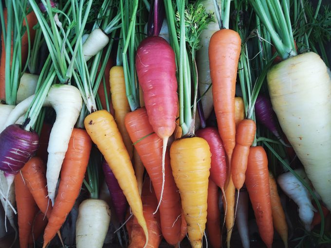 Micro-ferme Mésage - carottes colorées