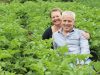 La Ferme de Monrepos - dans les patates