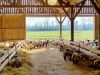 Ferme des Obiones - bergerie