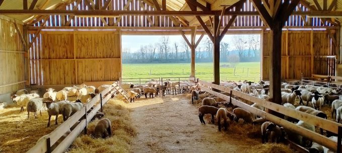 Ferme des Obiones - bergerie