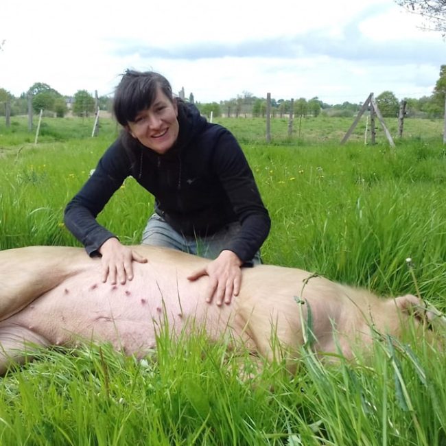 Ferme Les Papilles Épatées