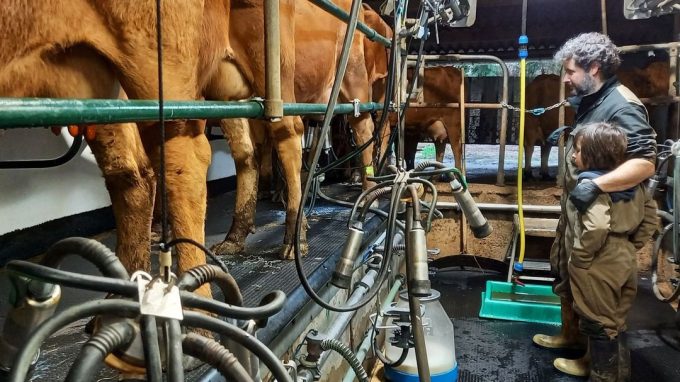 Ferme Fromagère de Penhoat - traite