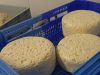 Ferme Fromagère de Penhoat - frais