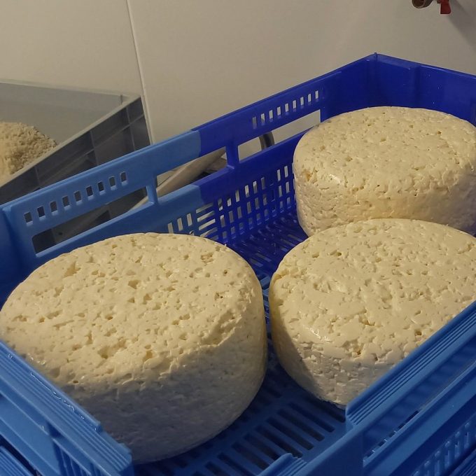 Ferme Fromagère de Penhoat - frais