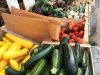Légumes de saison