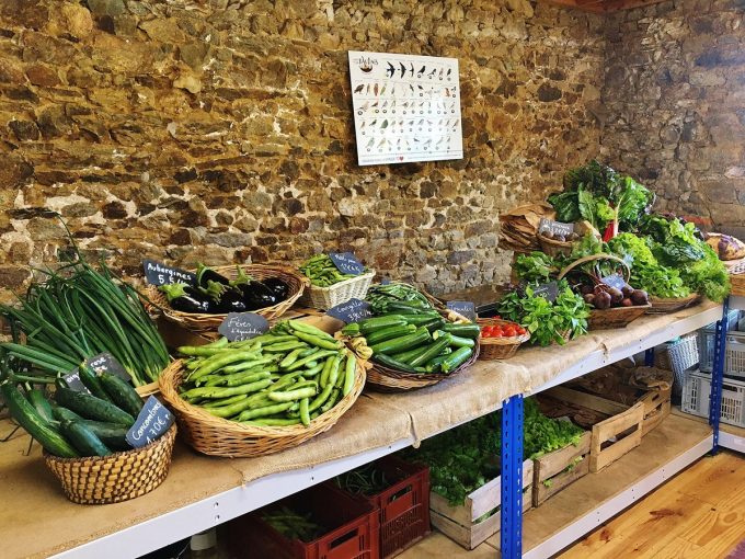 Paniers de légumes