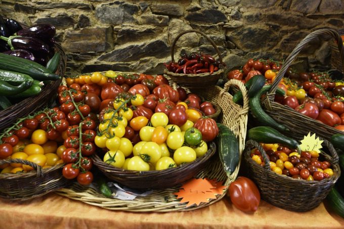 Ferme St Roch - Tomates
