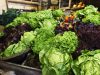 Ferme St Roch - Salades