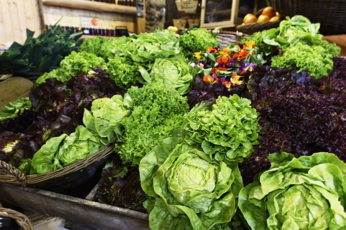 Ferme St Roch - Salades
