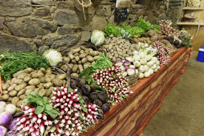 Ferme St Roch - Légumes