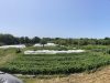 La Ferme à Tonton - mon royaume