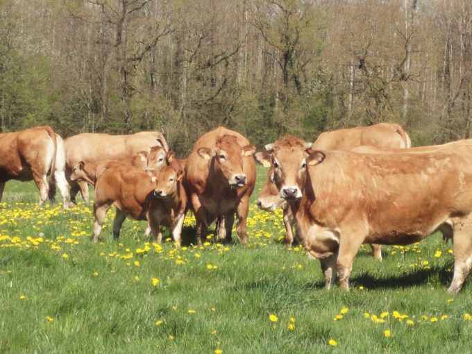 La Ferme de Vélobert