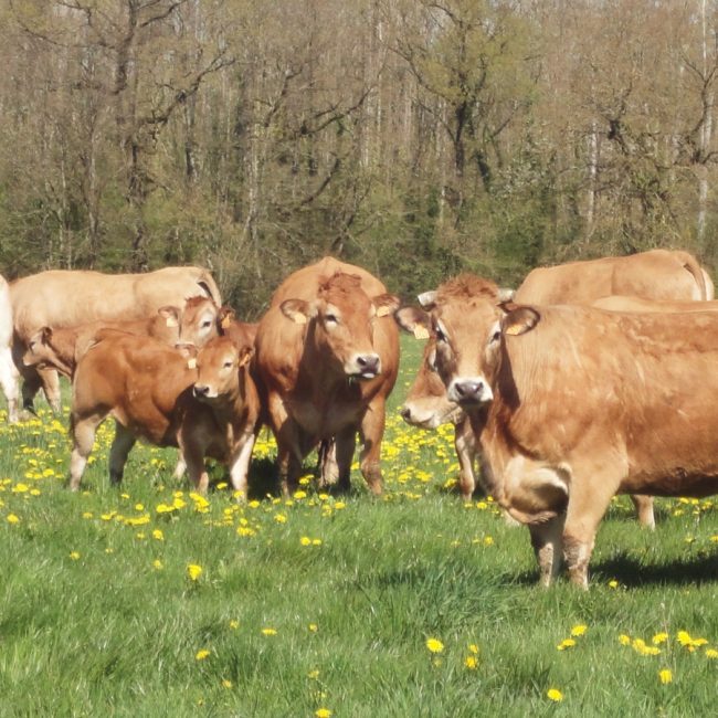La Ferme de Vélobert