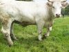 La Ferme de la Ville es Avoleux